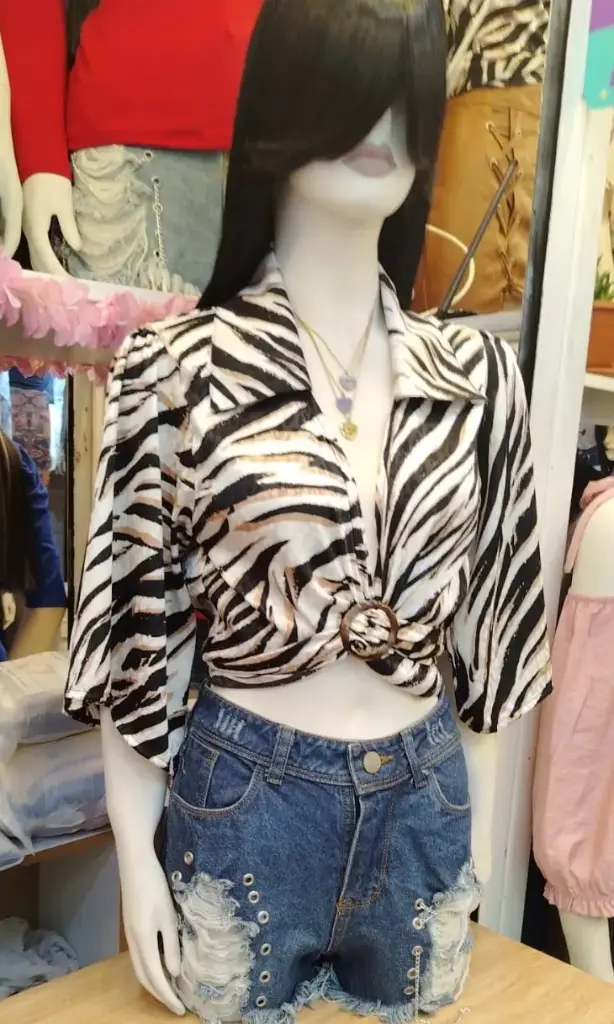 Blusa